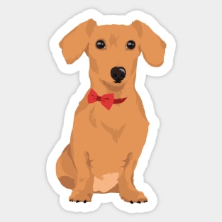 Sweet Tan Dachsund with Neck Ribbon T-Shirt for Dog Lovers Sticker